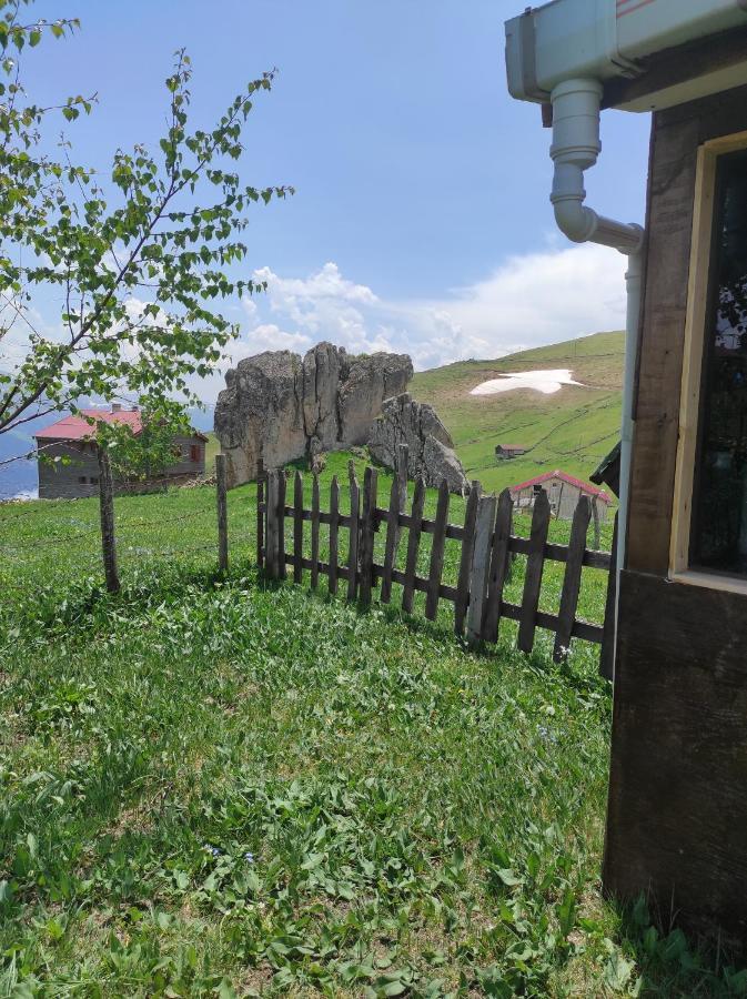 Birlik Yaylakent Caykara Zewnętrze zdjęcie